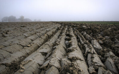 Kantelen landbouwmodel